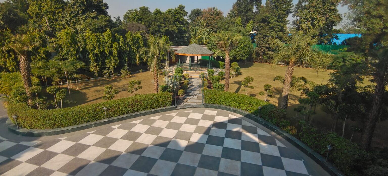 WhatsApp Image 2025-01-03 at 21.28.51_dadaac0a