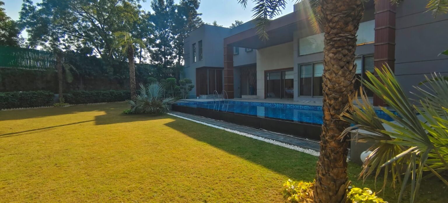 WhatsApp Image 2025-01-03 at 21.28.59_ebce3a16