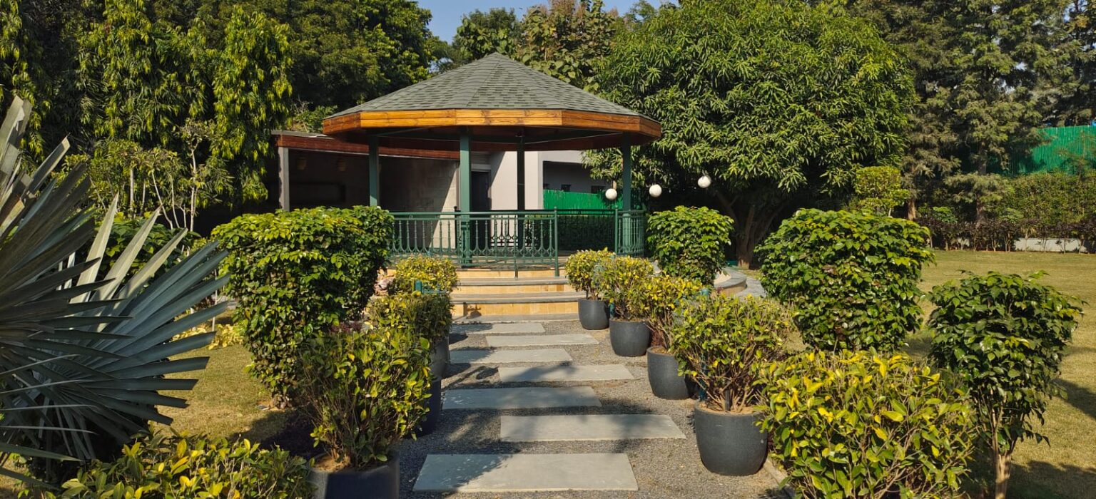 WhatsApp Image 2025-01-03 at 21.29.00_c6bf74d2