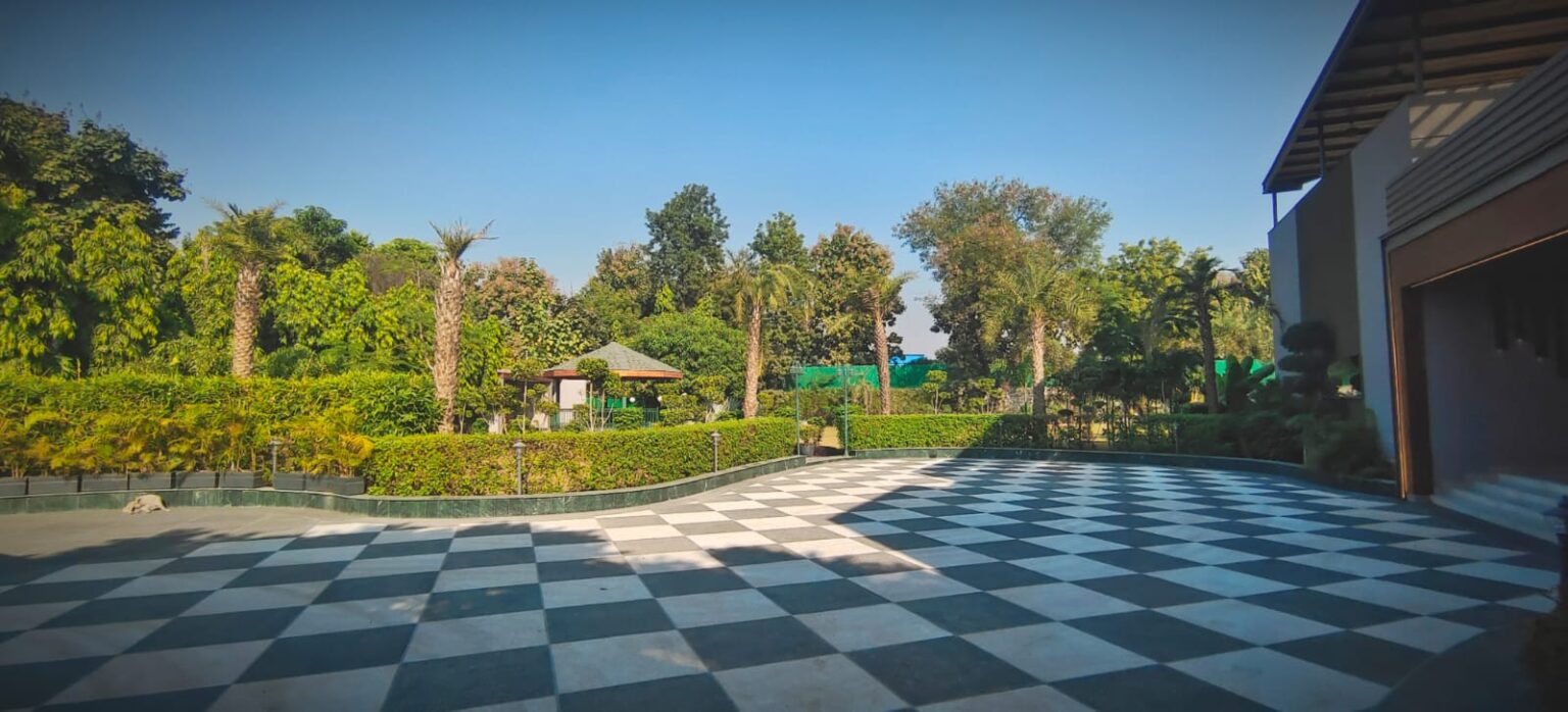 WhatsApp Image 2025-01-03 at 21.29.01_a8252b56